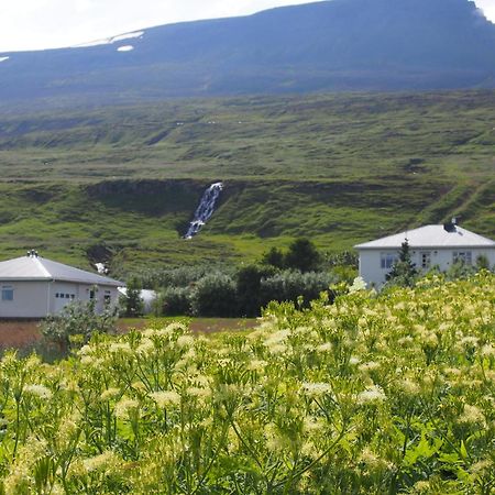 Granastathir Guesthouse Húsavík Zewnętrze zdjęcie