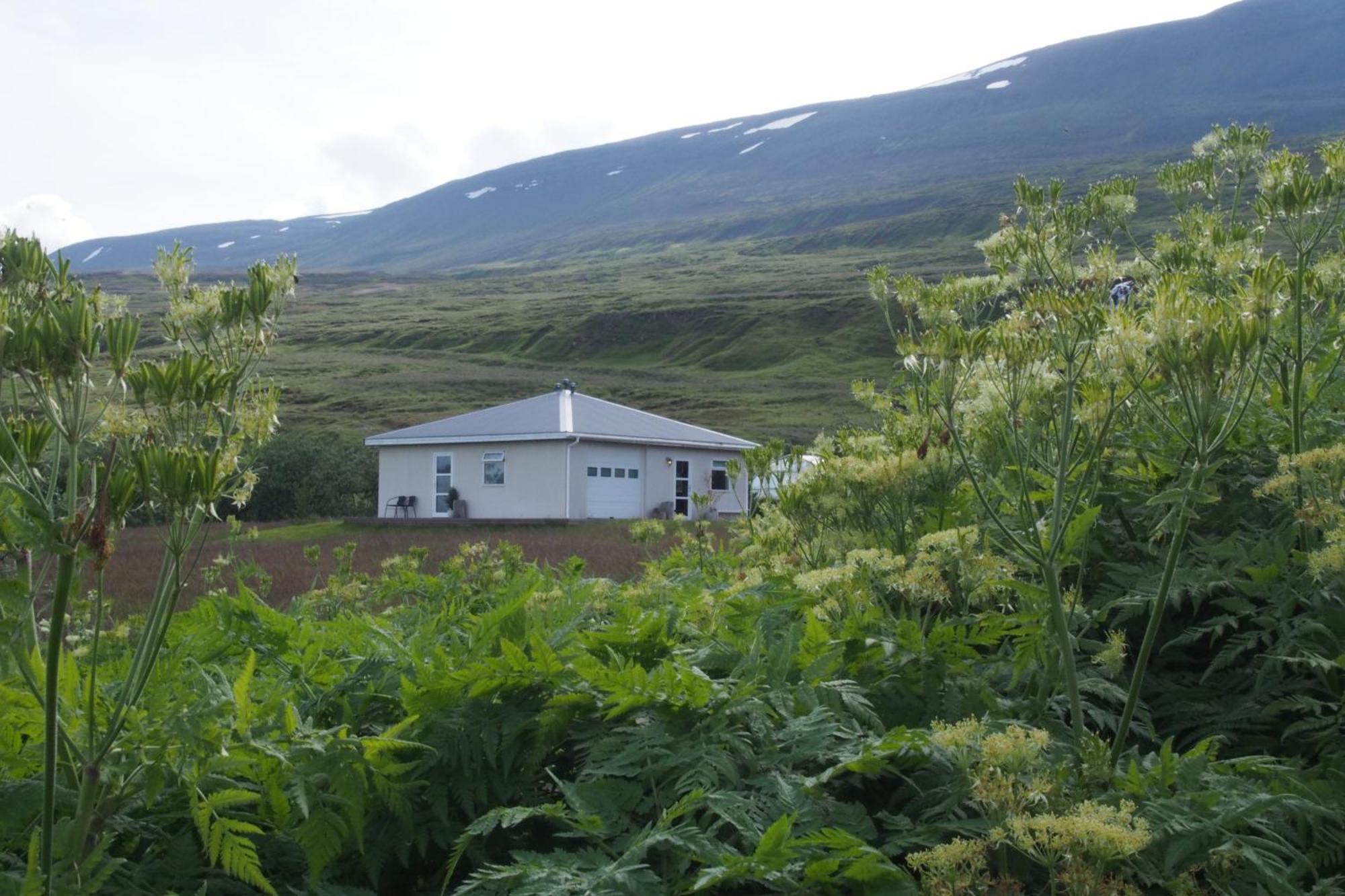 Granastathir Guesthouse Húsavík Zewnętrze zdjęcie