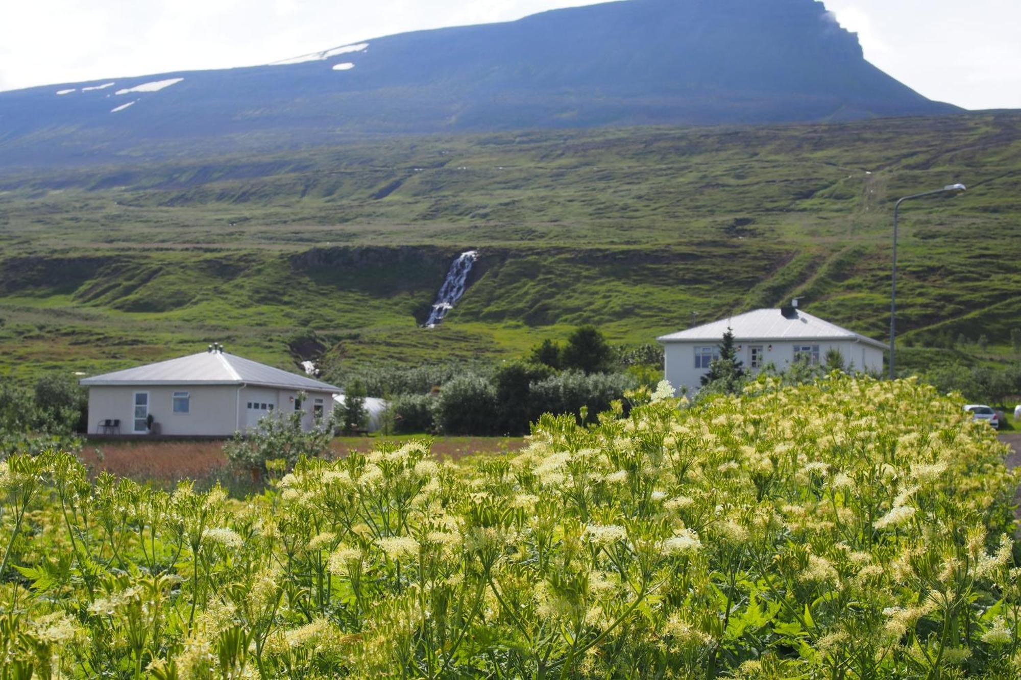 Granastathir Guesthouse Húsavík Zewnętrze zdjęcie