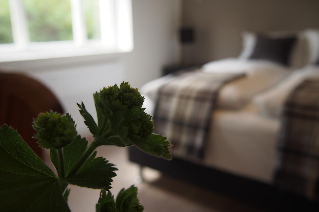 Granastathir Guesthouse Húsavík Zewnętrze zdjęcie