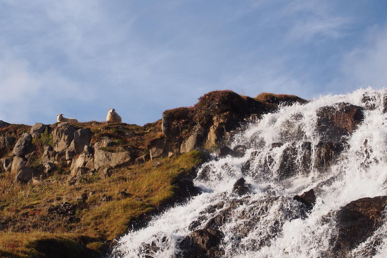 Granastathir Guesthouse Húsavík Zewnętrze zdjęcie